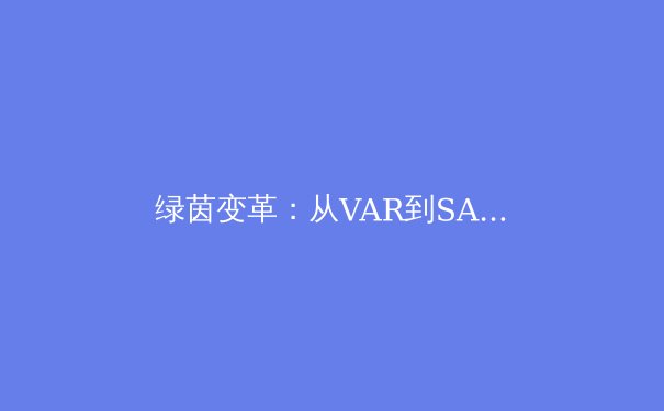 绿茵变革：从VAR到SAOT，科技如何重塑足球竞赛的公平与争议 - 2